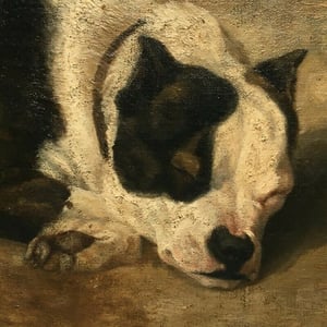 Image of 1867, French, Pet Portrait Painting, 'Bulldog,'