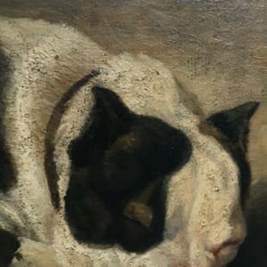 Image of 1867, French, Pet Portrait Painting, 'Bulldog,'