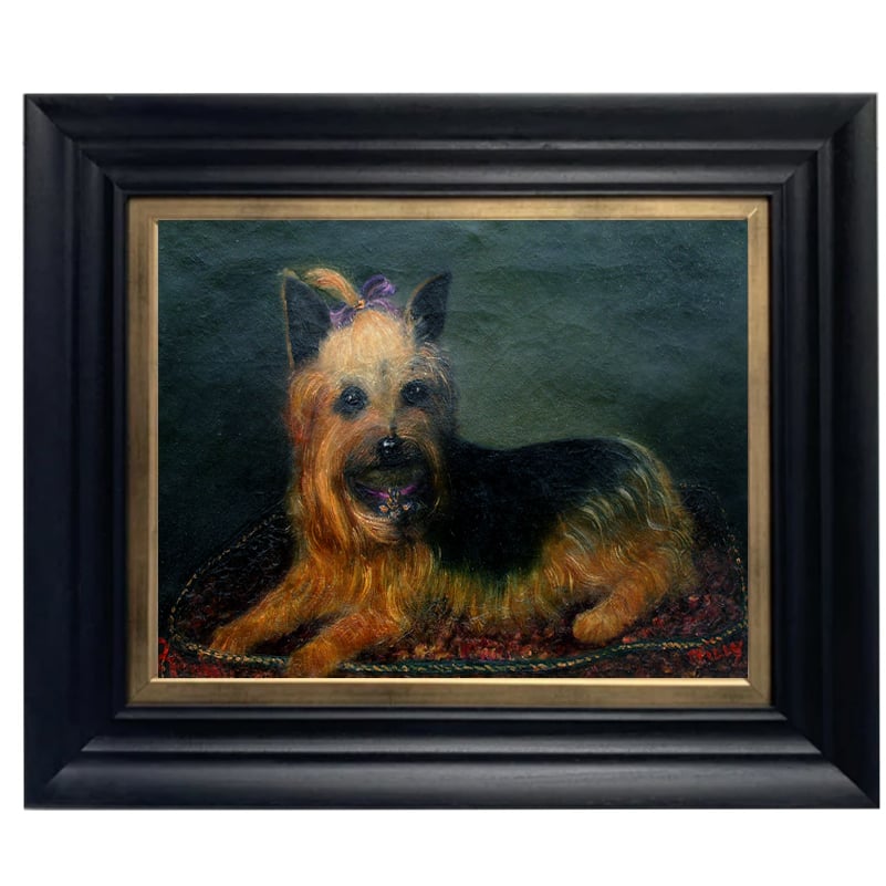 Image of 19thC, English, Pet Portrait Painting, Yorkshire Terrier, 'Tilly.' 