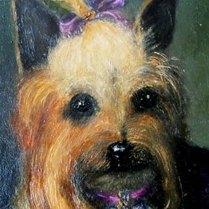 Image of 19thC, English, Pet Portrait Painting, Yorkshire Terrier, 'Tilly.'