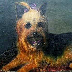 Image of 19thC, English, Pet Portrait Painting, Yorkshire Terrier, 'Tilly.'