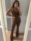 Tiger co-ord 