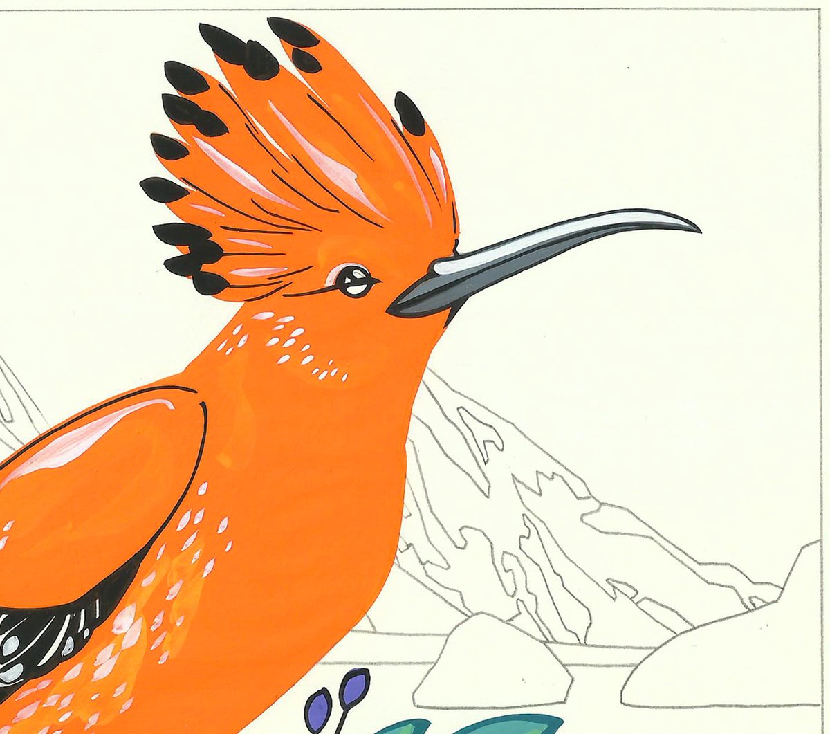 Image of Hoopoe and Helena