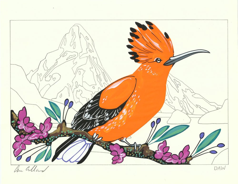 Image of Hoopoe and Helena