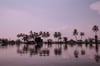 Pink Hour 