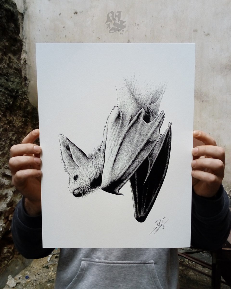 GHOST BAT, Limited Edition Screen Print