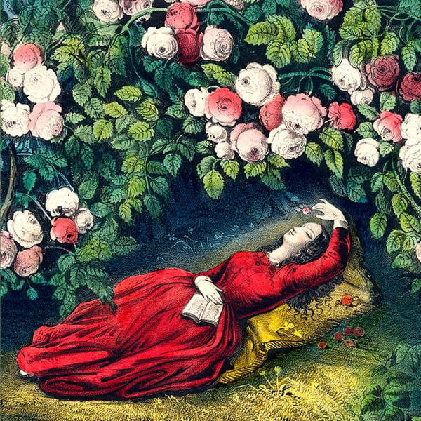 Image of Sleeping Beauty Silk for John Derian