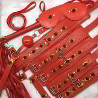 Red/Red Bondage Set 