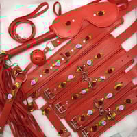 Red/Purple Bondage Set 