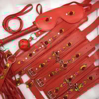 Red/Dark Pink Bondage Set 