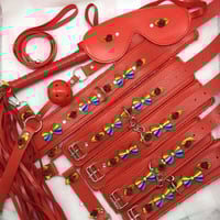 Rainbow/ Red Bondage Set