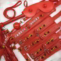 Daddy’s Whore Red Bondage Set