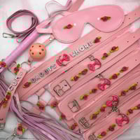 Daddy’s Whore Pink Bondage Set 