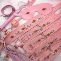 Pink/Purple Bondage Set 