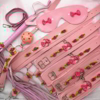 Pink Bondage Set 