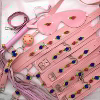Blue/Pink Bondage Set 