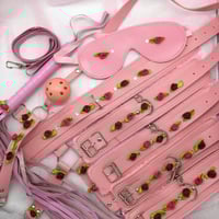 Red/ Pink Bondage Set