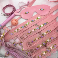 Purple/Pink Bondage Set