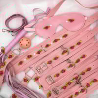 Pink/Pink Bondage Set