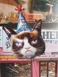 Image 3 of 'Party Face'