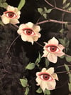 Flower eyes 