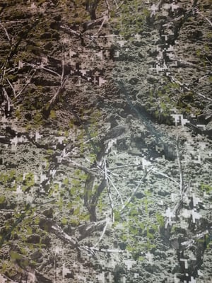 Image of Waterproof Camouflage Print, PU Coated Ripstop Nylon x 1 metre x 150cm wide