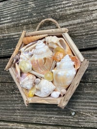 Image 4 of Beach Box #7