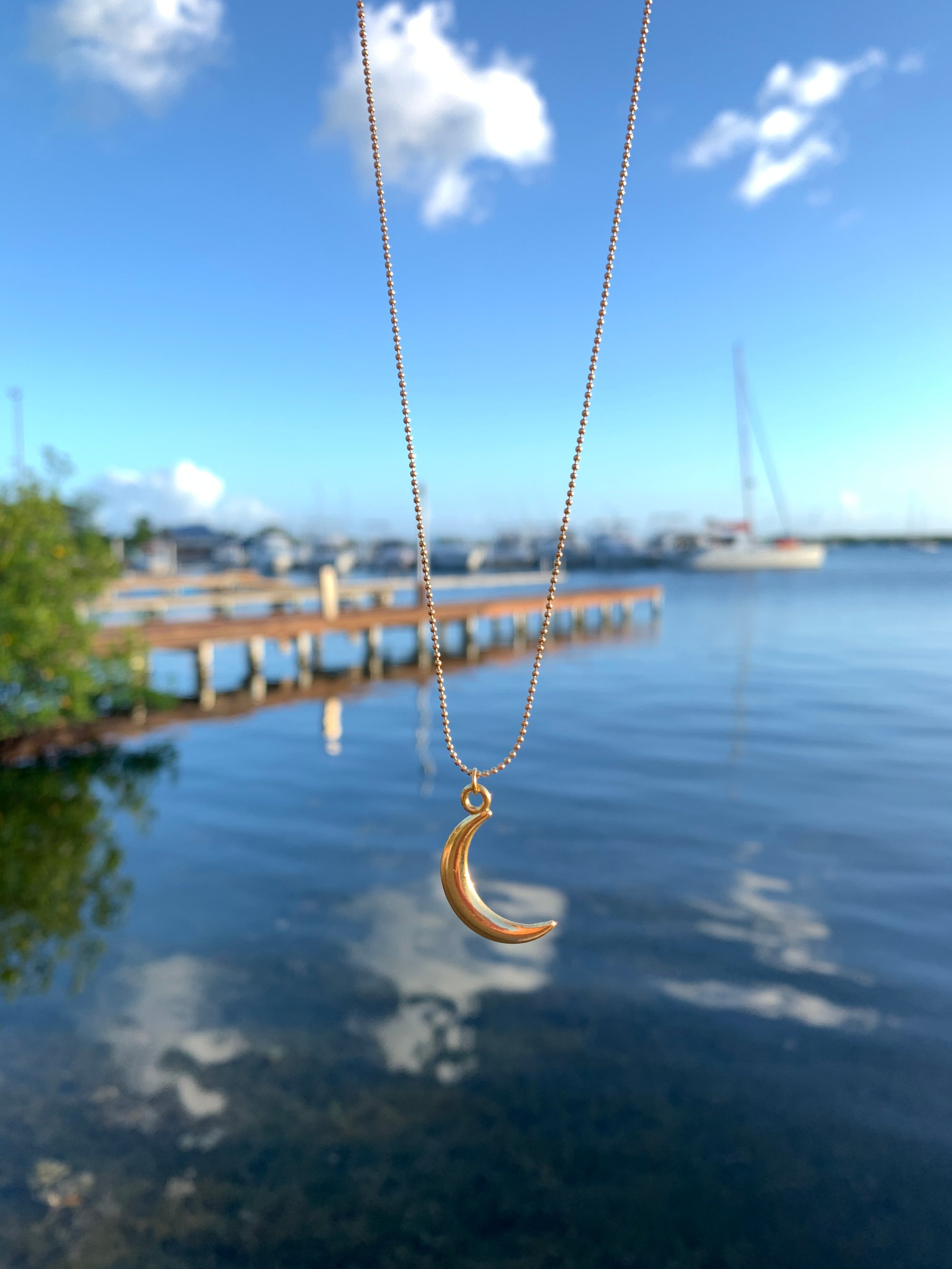 Image of To The Moon and Back Necklace