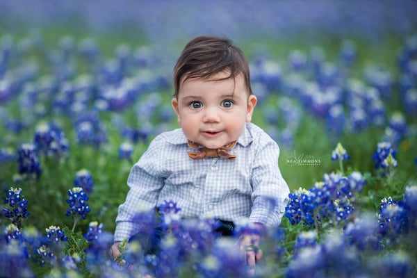 Image of BLUEBONNET / WILDFLOWER SHORT SHOOTS 2023