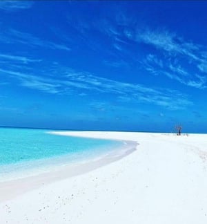 Image of 7 Day Educational Tour to Tanzania