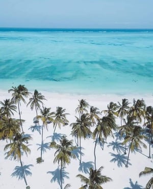 Image of 7 Day Educational Tour to Tanzania