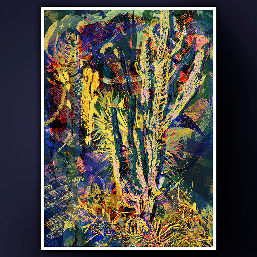 Greenhouse • Cactus