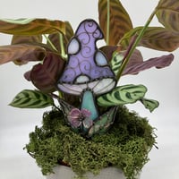 Image 1 of Lilac Mushroom Plant Buddy 