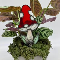Image 1 of Iridescent Red Mushroom Plant Buddy 