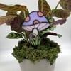 Lilac and Pink Plant Buddy