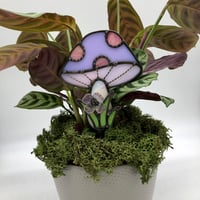Image 1 of Lilac and Pink Plant Buddy 