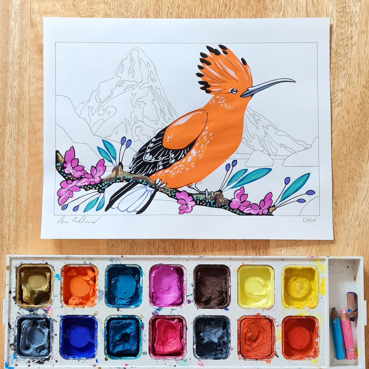 Image of Hoopoe and Helena