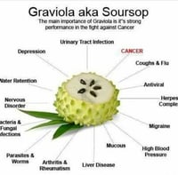 Graviola /Soursop(Dr. Sebi Recommended)