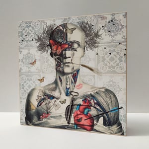 Image of Disección de la Primavera