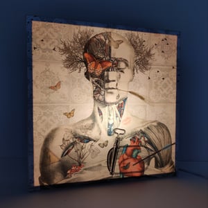 Image of Disección de la Primavera