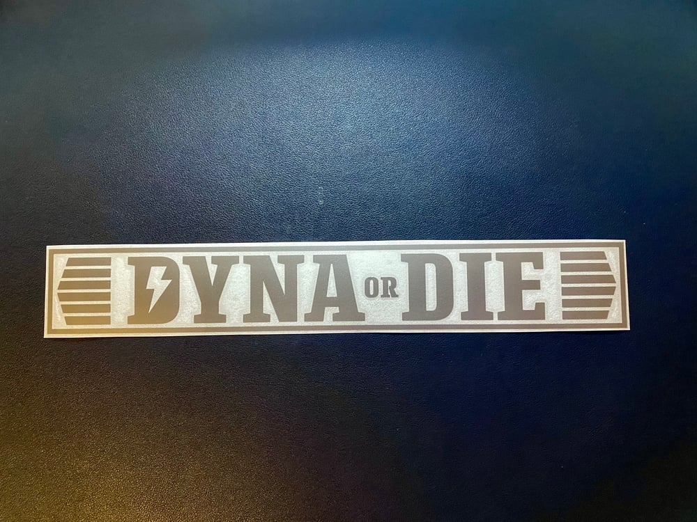 Dyna or Die swingarm decal silver