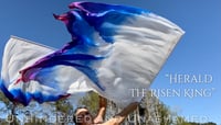 Image 2 of "HERALD" Extravagant Worship Flags