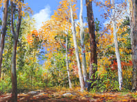 Image 1 of - Rouge Valley Wander -
