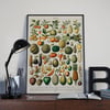 Fruits | Adolphe Millot | Retro Botanical Print | Vintage Poster | Wall art Print