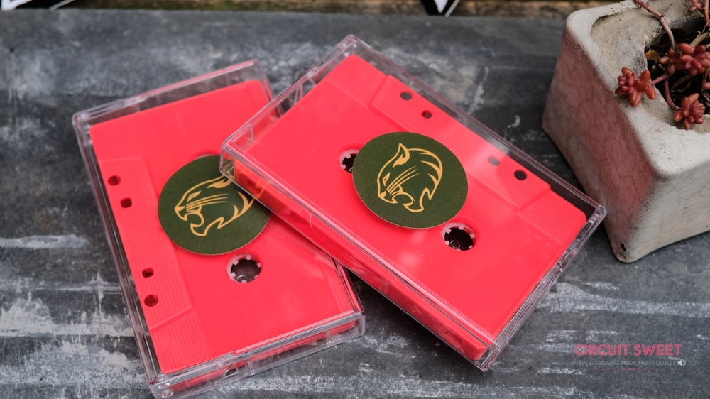 Image of Wild Cat Strike - The Red Brake Light Sky Sessions Cassette Release