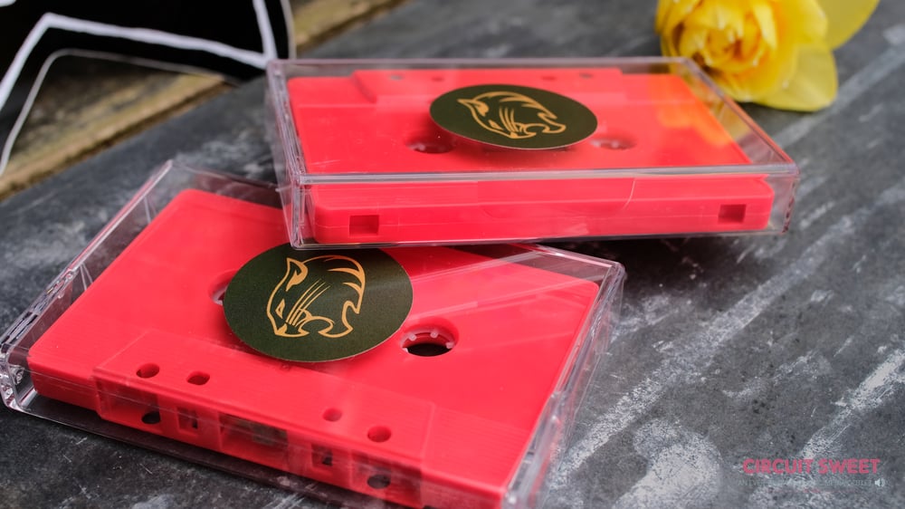 Image of Wild Cat Strike - The Red Brake Light Sky Sessions Cassette Release