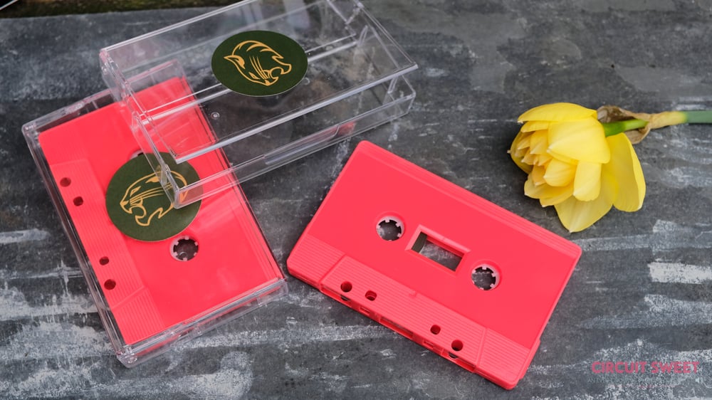 Image of Wild Cat Strike - The Red Brake Light Sky Sessions Cassette Release