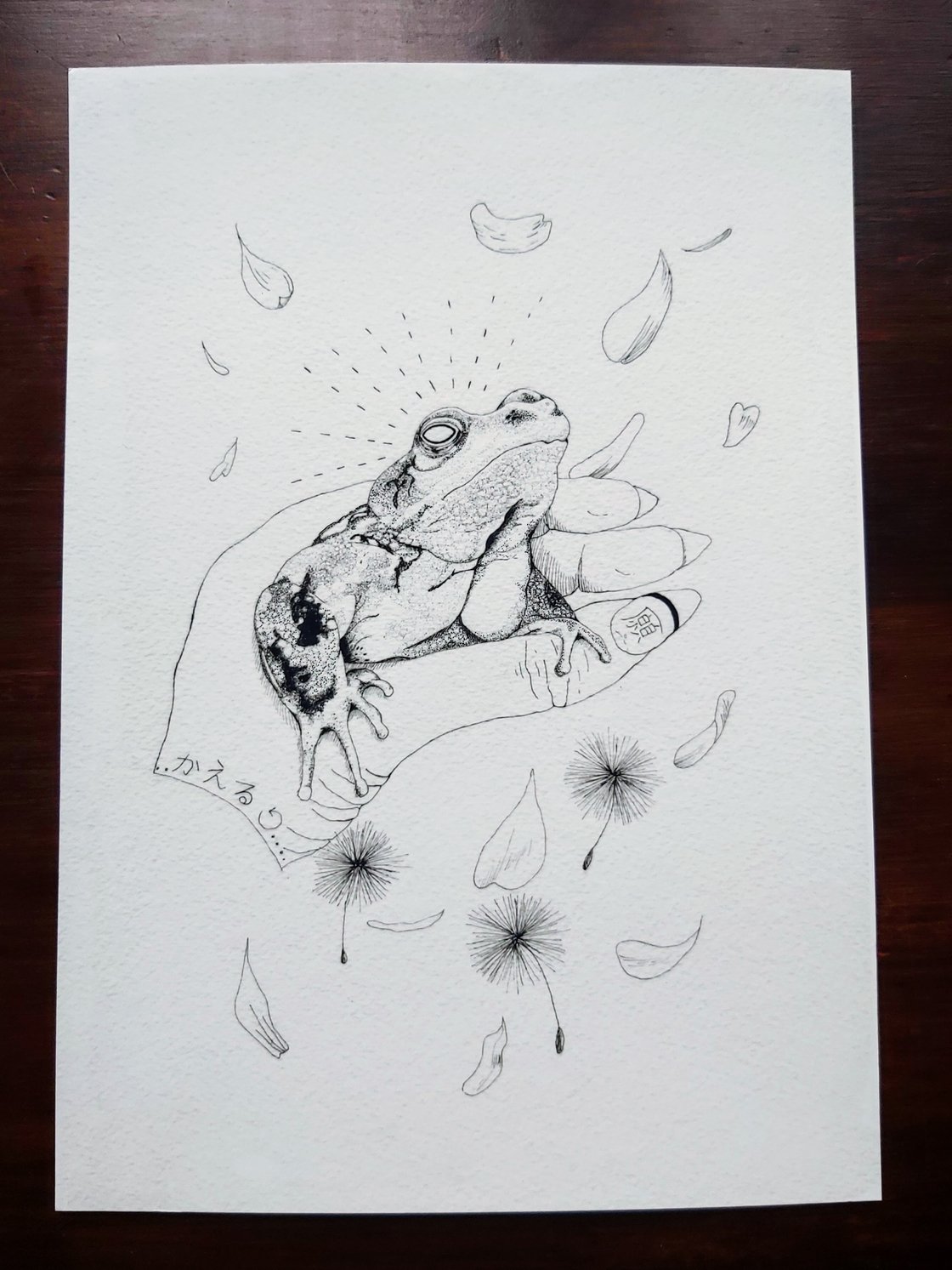 Image of Kaeru Wishes print A4