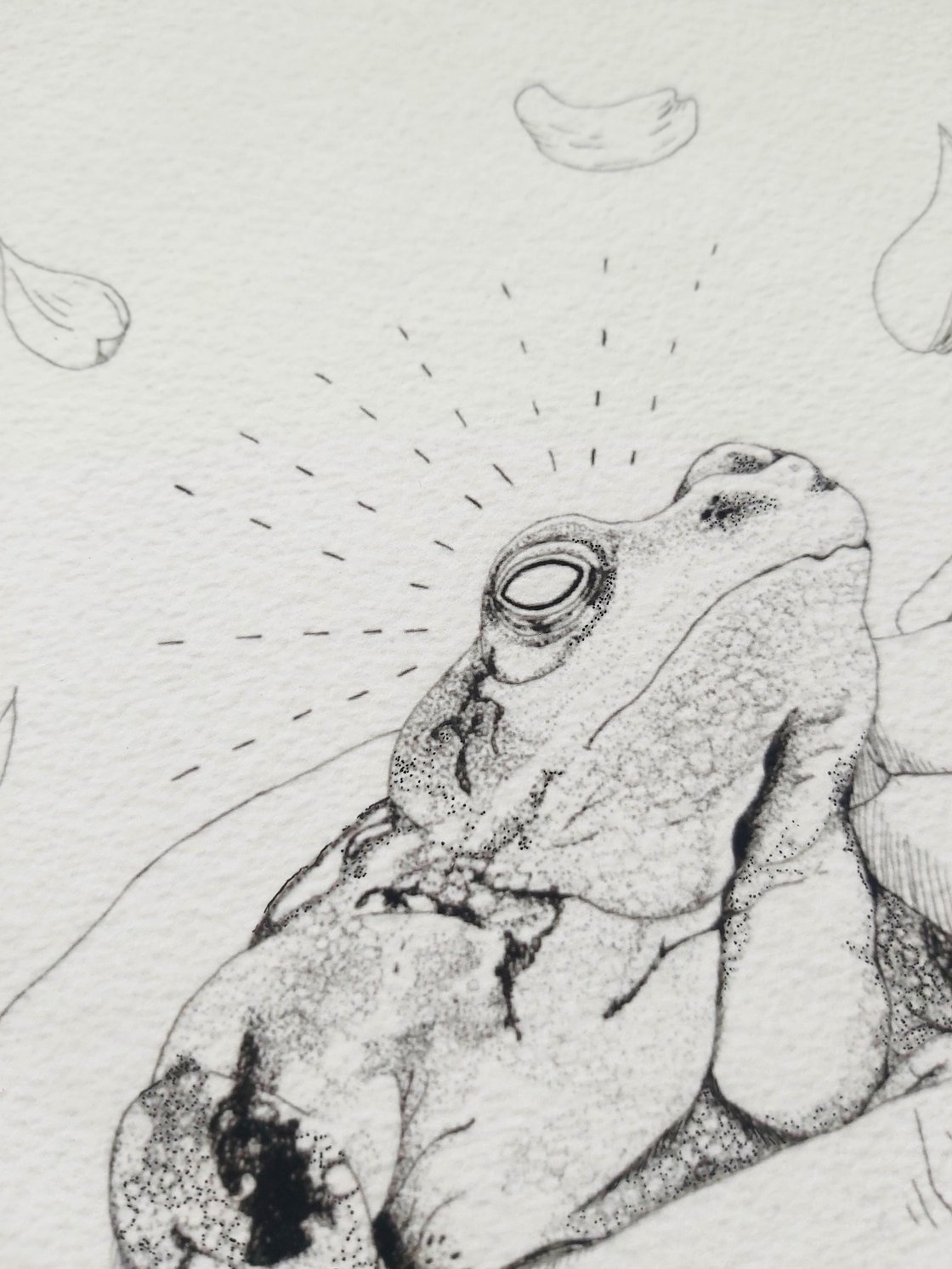 Image of Kaeru Wishes print A4 