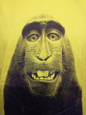 Image of Selfie Monkey t shirt